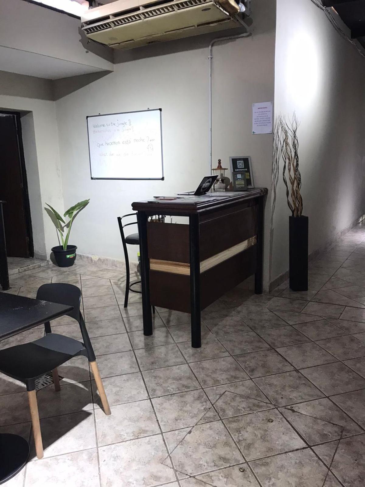 Urban Jungle Hostel San Miguel de Tucumán Eksteriør bilde