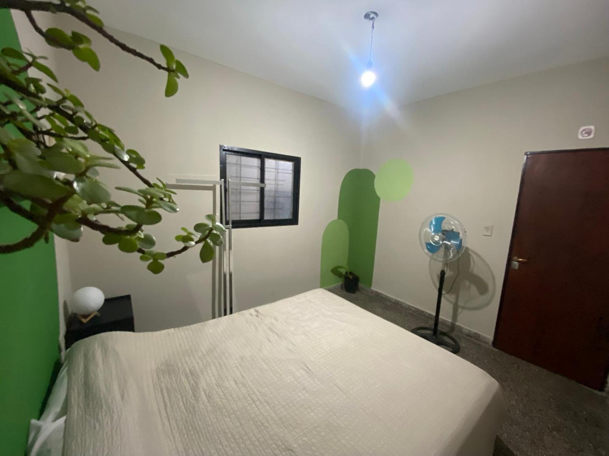 Urban Jungle Hostel San Miguel de Tucumán Eksteriør bilde